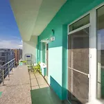 Summerland Loft Mamaia